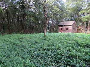 290���~�ʑ��n�ʐ^