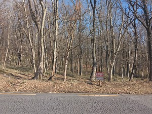 300���~�ʑ��n�ʐ^