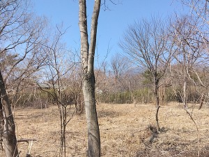 400���~�ʑ��n�ʐ^