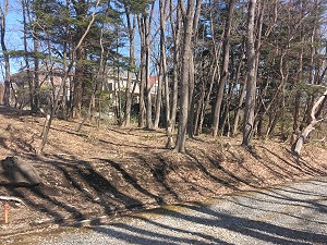 770���~�ʑ��n�ʐ^